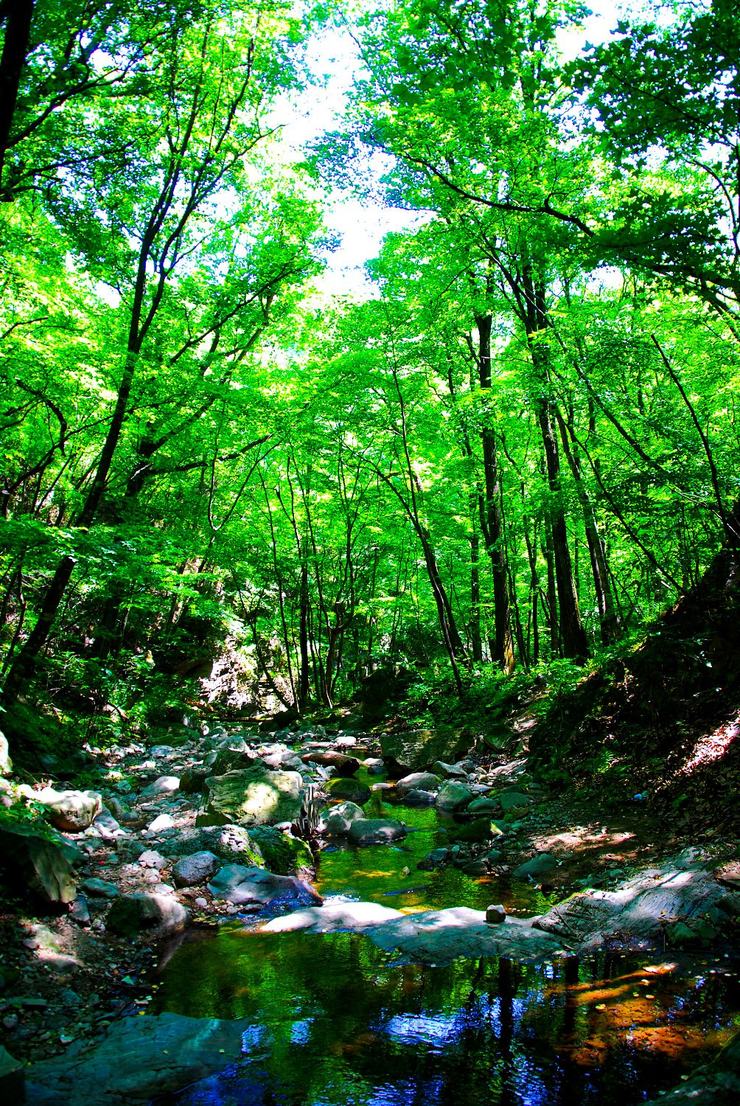 秦岭四季