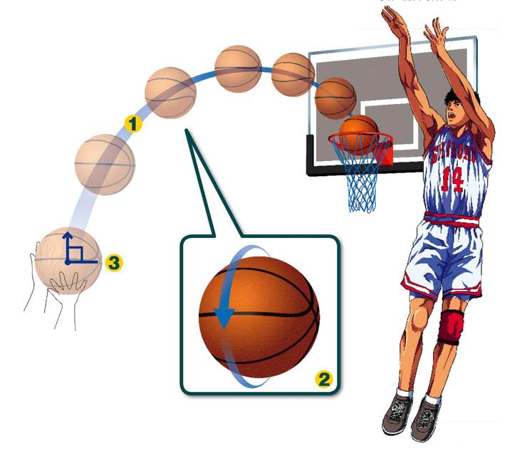 1 篮球沿出手方向的运动轨迹是一道抛物线.