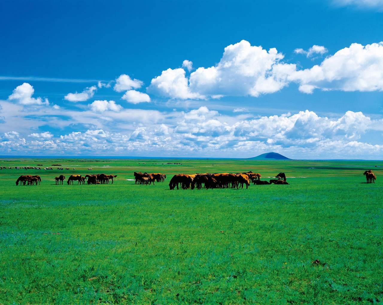 美丽的蓝天草原新疆4K风景壁纸_4K风景图片高清壁纸_墨鱼部落格