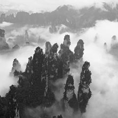 《中国山野壮天下》专题摄影之烟雨天子山篇
