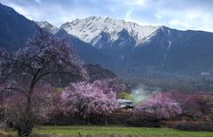 西藏纪——桃花源