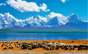 看看西藏的蓝天