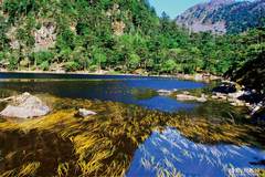 螺髻山仙草湖