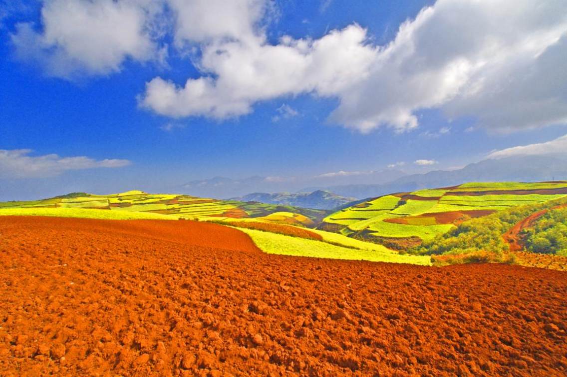 东川红土地是仅次于巴西里约热内卢红土地的自然风光.