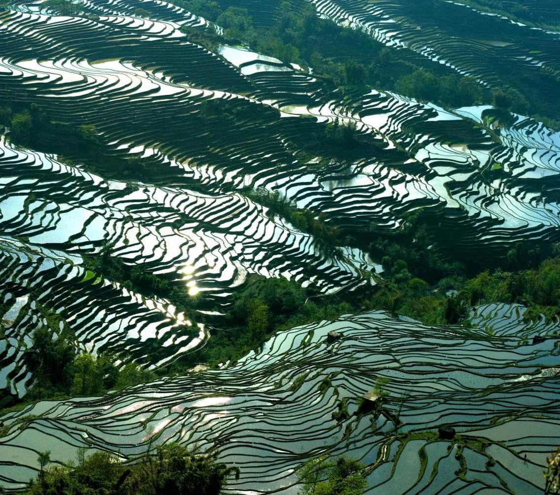 元阳坝达景点经度：102.45.56纬度：23.06.56海拔：1880最佳拍摄季节：11月至第2年4月最佳拍摄时间：18：00——19：30最好的拍摄角度：西偏北方向