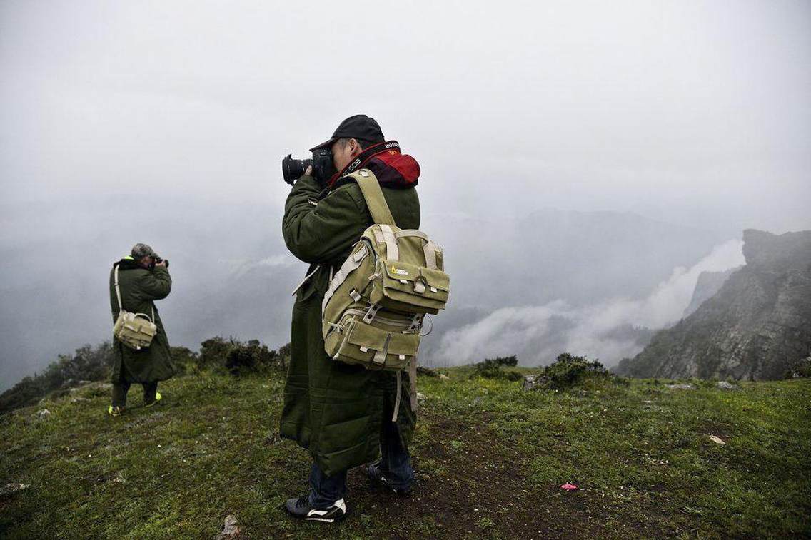 牛背山2009年至今被人所了解以来，因其360度的绝佳观景平台和可俯瞰川内所有名山的位置而让众多户外运动爱好者、摄影爱好者留连忘返。一提起牛背山，人们想到的都是云海、佛光、日照金山等让人叹为观止的人间奇景。然而，牛背山上自由自在、怡然自得的牛群，漫山遍野的杜娟花……，一样美得让人惊叹！