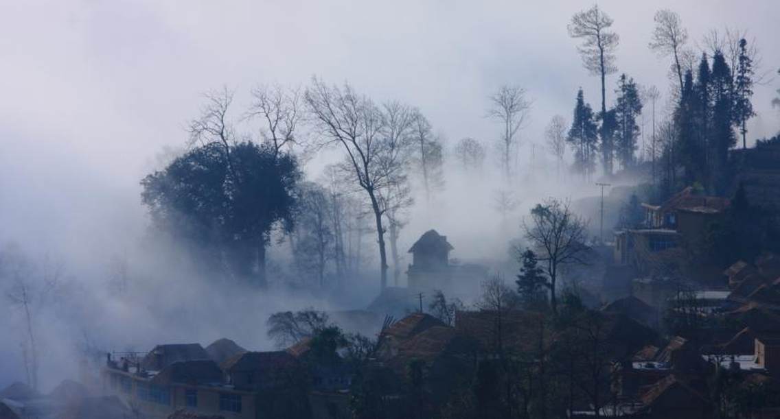 元阳多依树村