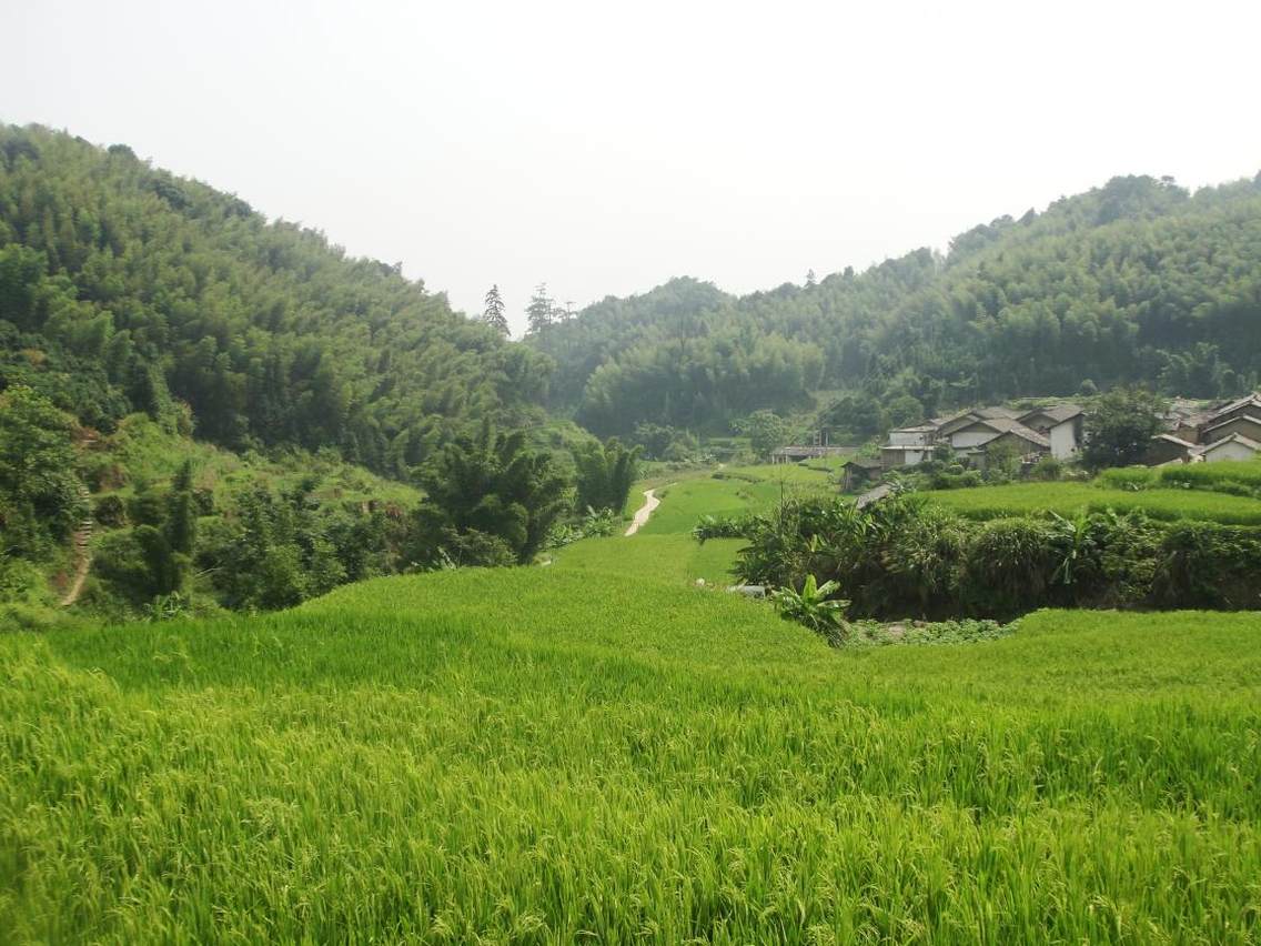 美麗的鄉村風景。