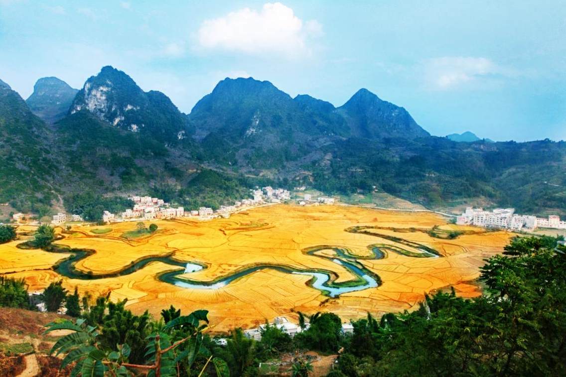 《龙》，在巴马当地叫命河，位于广西壮族自治区西北部巴马瑶族自治县。巴马命河在巴马盘阳河源头之一的那社乡，命河在那社乡田垌里左拐右弯，从高处俯视，酷似一个巨型草书体“命”字又象一条龙镶嵌在广袤的田野中间，飘逸脱俗，让人称奇。