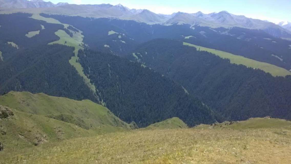 新疆特哈萨克自治州霍城县