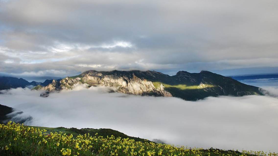 拍摄于四川阿坝州茂县九顶山山顶。7月，鲜花满地，对面的绝壁气势恢宏，云海飘渺，一缕光线，很美。