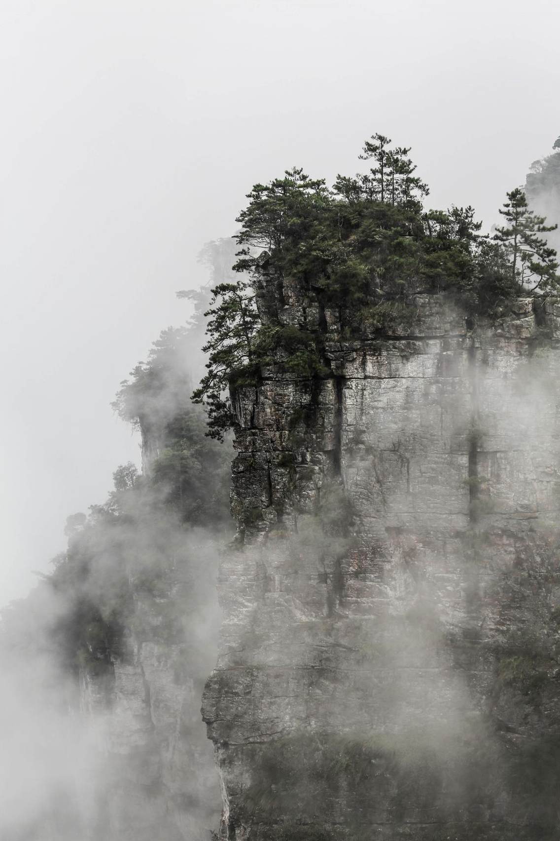 莲花山