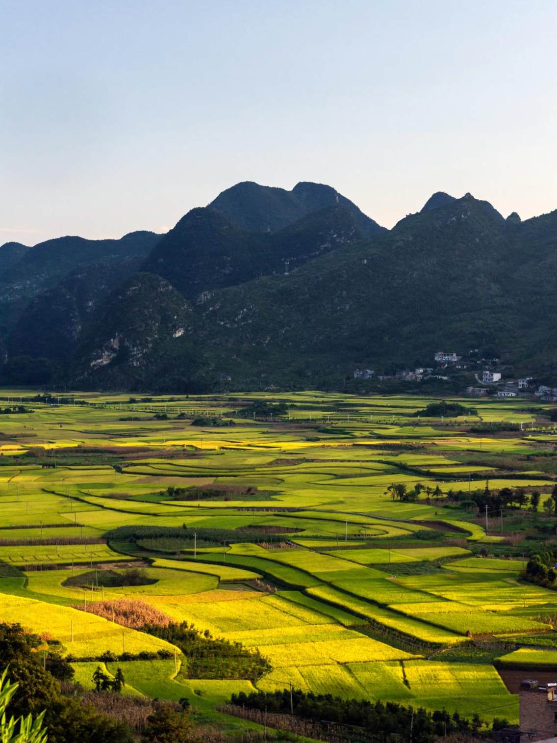 万峰林景区下纳灰