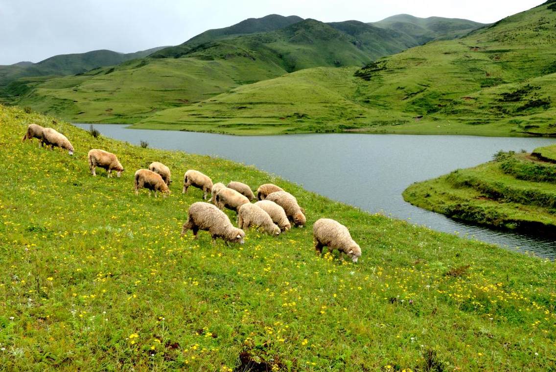 盘县乌蒙大草原海子湖最佳拍摄季节和时间：观景点常年可观清澈如镜的长海子湖，每年4月前后，可观的万亩高山矮杜鹃，5月至9月，是乌蒙大草原景区草场碧绿、草原风貌最好的季节。到达观景点方式：经水盘高速从雨格站下，驱车前行11公里左右柏油路即到达观景点。观景点旅游资源推介：观景点位于乌蒙大草原景区范围内，观景点可观贵州海拔最高的湖泊——长海子，以及绵延起伏的高山草原。乌蒙大草原景区是贵州最高、最大的草场，10万亩延绵起伏的草场、平缓低矮的小丘，在朗朗的阳光下，碧野万顷，羊肥牛壮，极为壮阔。春夏之交，4万亩矮杜鹃竞相开放，姹紫嫣红。从山顶向下远眺，山下孤峰林立，云雾缭绕，农田依稀可见，犹如一幅山水画卷。在坡上草原，您有机会邂逅神奇的佛光，这里是全世界观看佛光最集中、观看时间最长、观看点最多的地区；漫步在湖面海拔2560米的高山湖泊长海子周围，面对清澈见底的湖水，耳边是习习凉风，身旁是朵朵白云，世俗生活的烦恼、紧张劳作的疲惫都将一扫而光，油然而生的是对大自然的崇敬之心。草原内瀑布成群，常年流水不断，空气质量优良。该风景区资源独特、植物丰富、佛光奇秀、水资源丰富，是难得的又一高原草原奇观