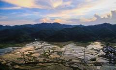 广西壮族自治区马山县