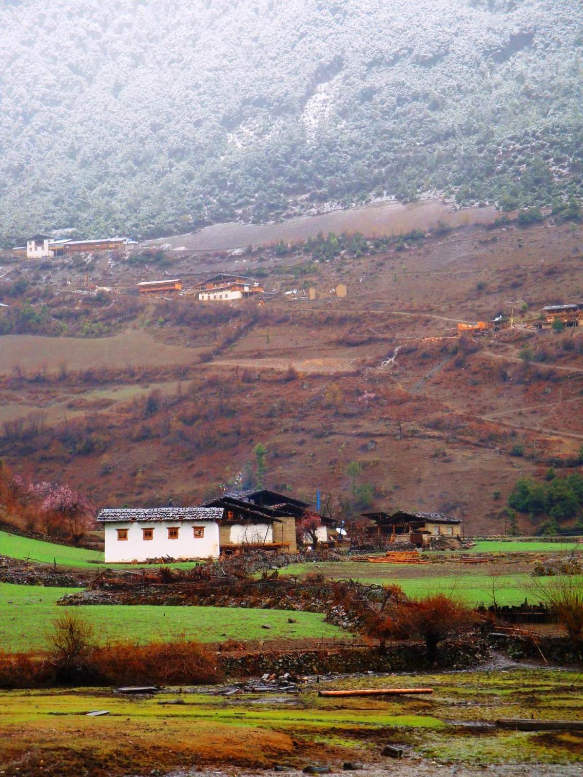 白墙黑瓦的雨崩村竟让我有一种难以割舍的感情。在这里，村民们崇拜自然，靠耕作和冬夏牧场过着自给自足，宁静和与世隔绝的生活，不由让我想起陶渊明《桃花源记》里所描绘的：“土地平旷，屋舍俨然，有良田美池桑竹之属。阡陌交通，鸡犬相闻。其中往来种作，男女衣著、悉如外人。黄发垂鬓，并怡然自乐。”