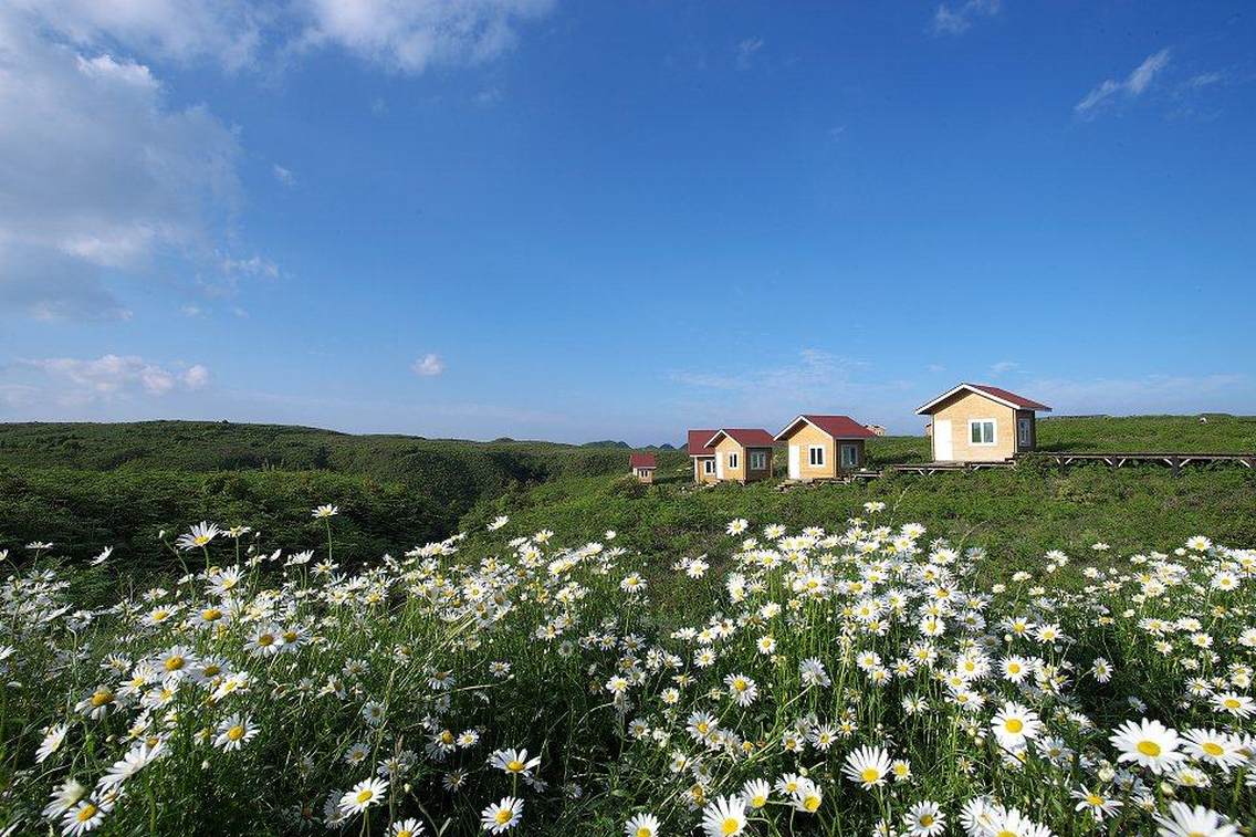 百里杜鹃大草原在百里杜鹃风景区普底乡永兴村、龙峰村，距百里杜鹃普底花区中心花区4公里。百里杜鹃不仅以春季五彩缤纷的杜鹃花享誉海内外，其夏季山水风光也格外迷人，气候资源适宜避暑。中心景区的百里杜鹃大草原，面积6万多亩，海拔在1800米左右，星罗棋布的天坑、金字塔形的一座座山体、宽广的大草场，是客人休闲避暑的好地方。