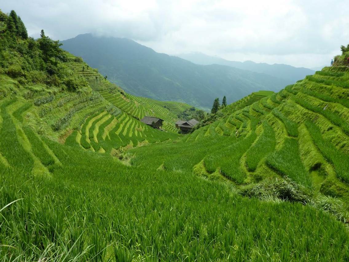 龙胜平安壮寨梯田