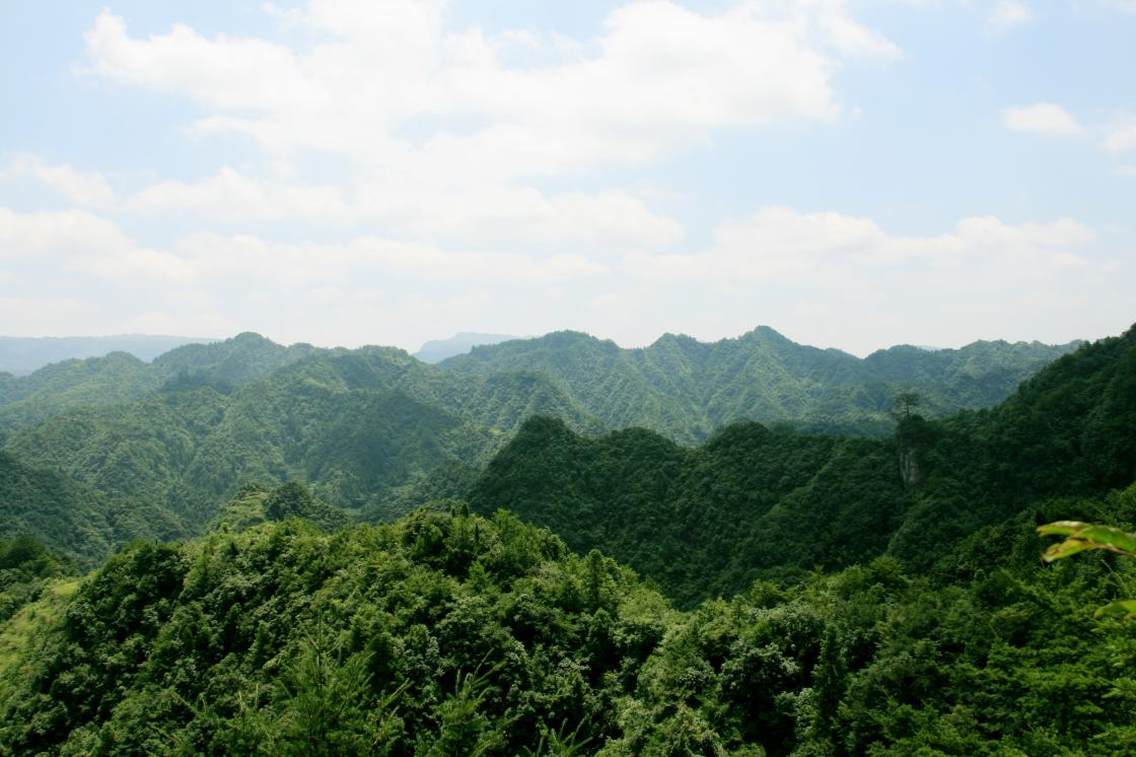 百面水风光