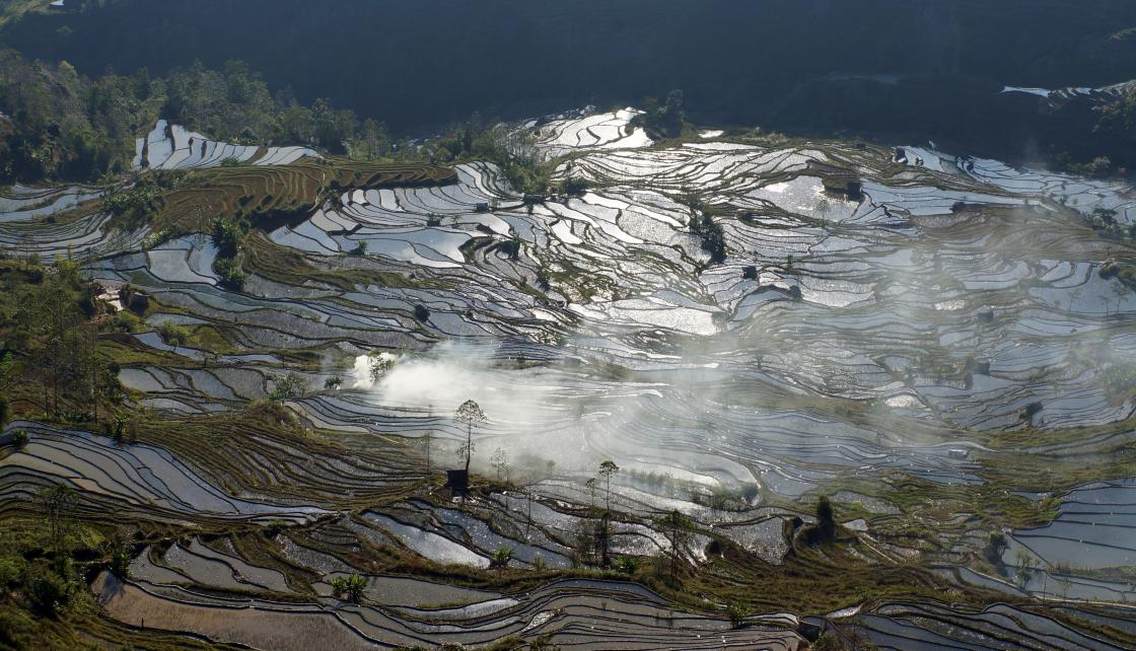 元阳哈尼族开垦的梯田随山势地形变化.