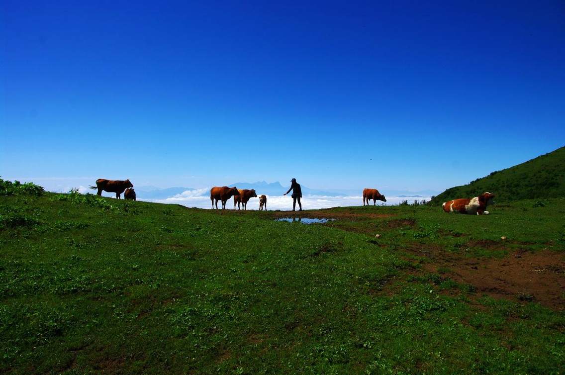 轿顶山风光