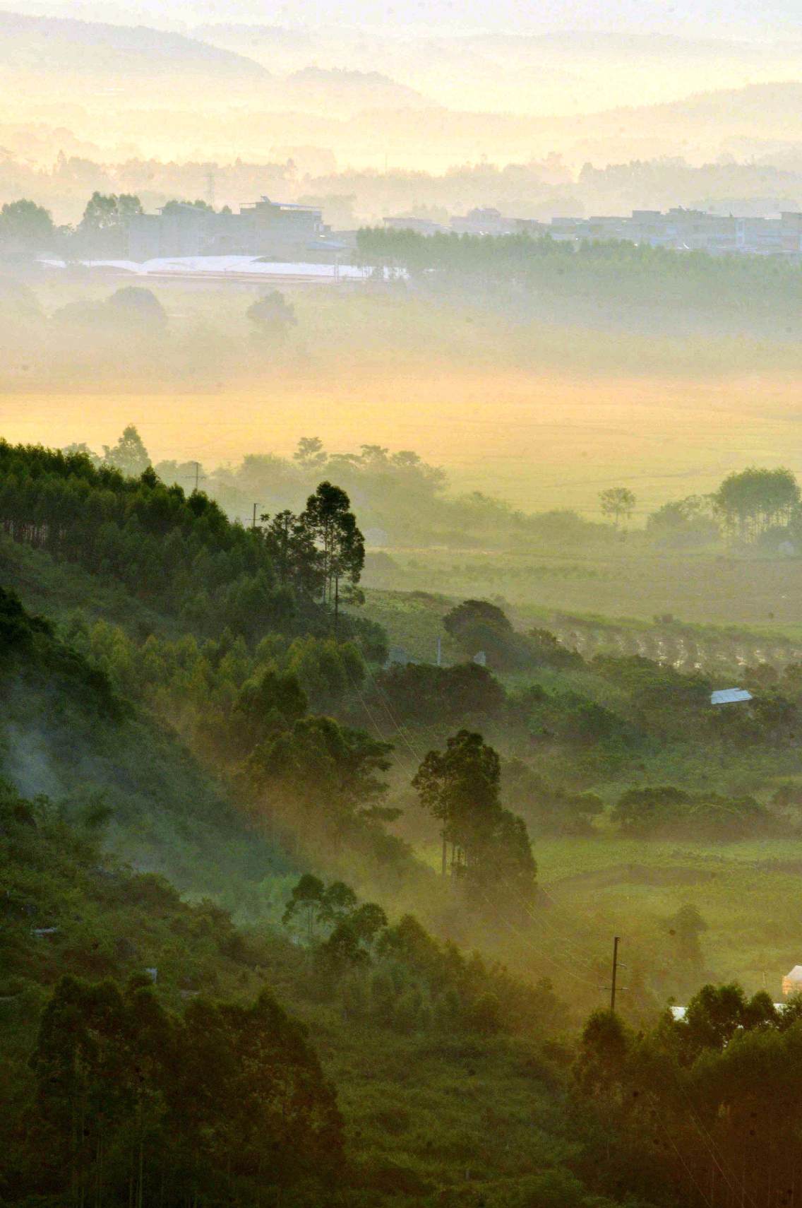 武鸣县山水秀美。清晨，在风景区伊岭岩登高望远，云雾缭绕在群山、田野、村庄之间，一幅幅壮美图画尽收眼底。