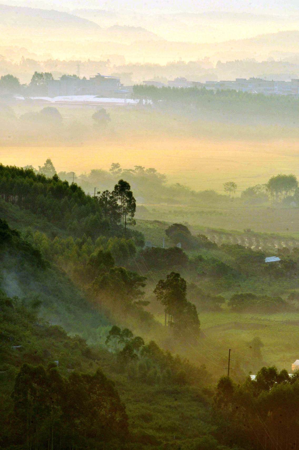 武鸣县山水秀美。清晨，在风景区伊岭岩登高望远，云雾缭绕在群山、田野、村庄之间，一幅幅壮美图画尽收眼底。