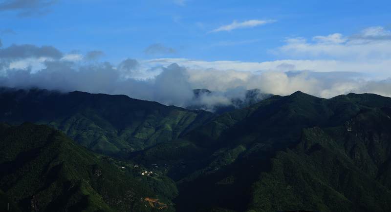 这是西岭山,位于县城西边,生态保护很好