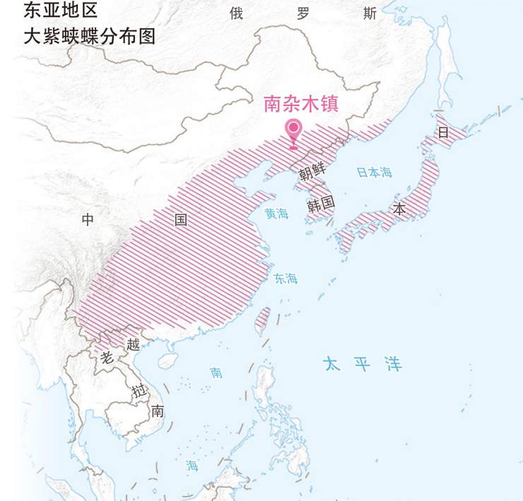 在中国东北小镇中， 竟然隐藏着大量的“日本国蝶” | 中国国家地理网