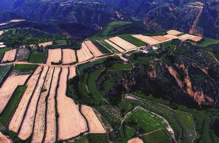 董志塬位于甘肃省庆阳市,在泾河北岸,马莲河和蒲河两大河流之间,地处