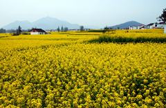 秦岭四季