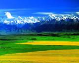 中国最美的六大草原