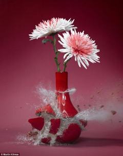 静与动的对比艺术：高速摄影捕捉花瓶破碎瞬间