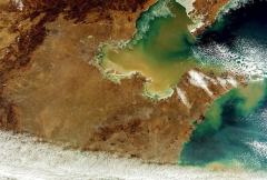 欧空局卫星拍摄地球壮观地貌：黄河裹沙入海