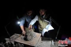 云南发现亚洲首具腔骨龙类新属种化石