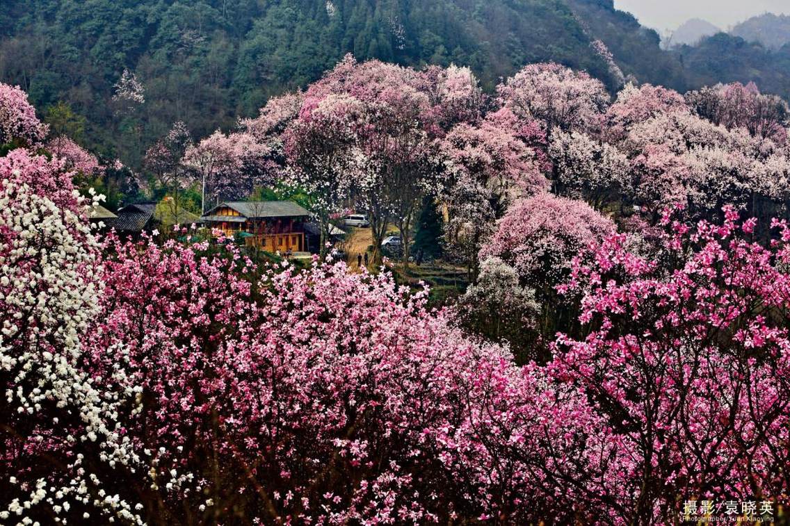 攀枝花市山城景观