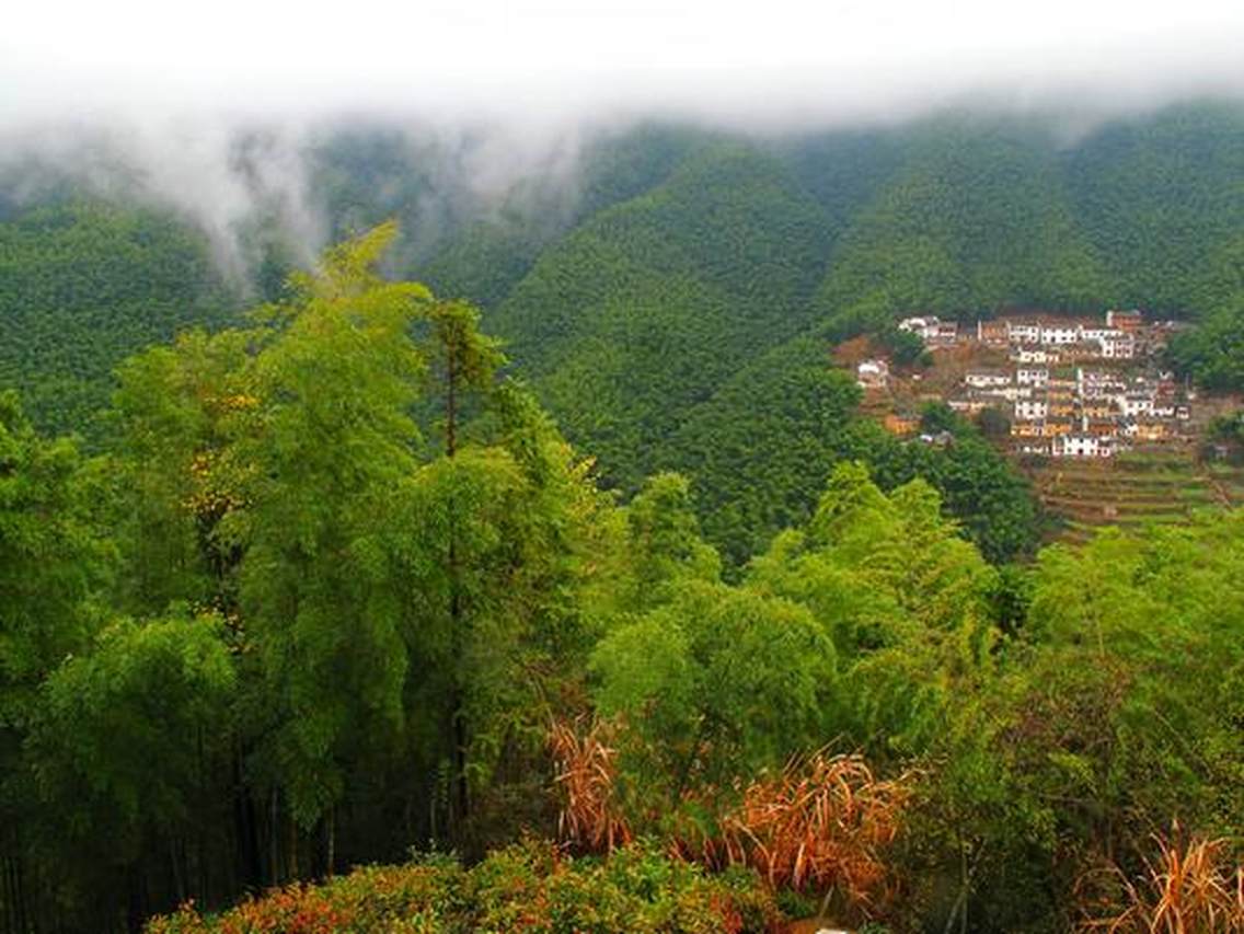 位于安徽黟县。电影“卧虎藏龙”的取景地。每年3月为最佳拍摄期。