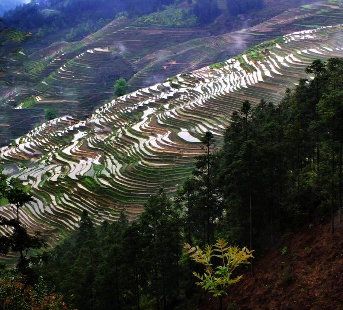 层层梯田数百上千，层层叠叠，顺山环绕，气概非凡，蔚为壮观，形成独具特色的山区田园自然风光，素有“梯田之乡”美称