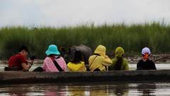 在奇特旺的河流，偶遇