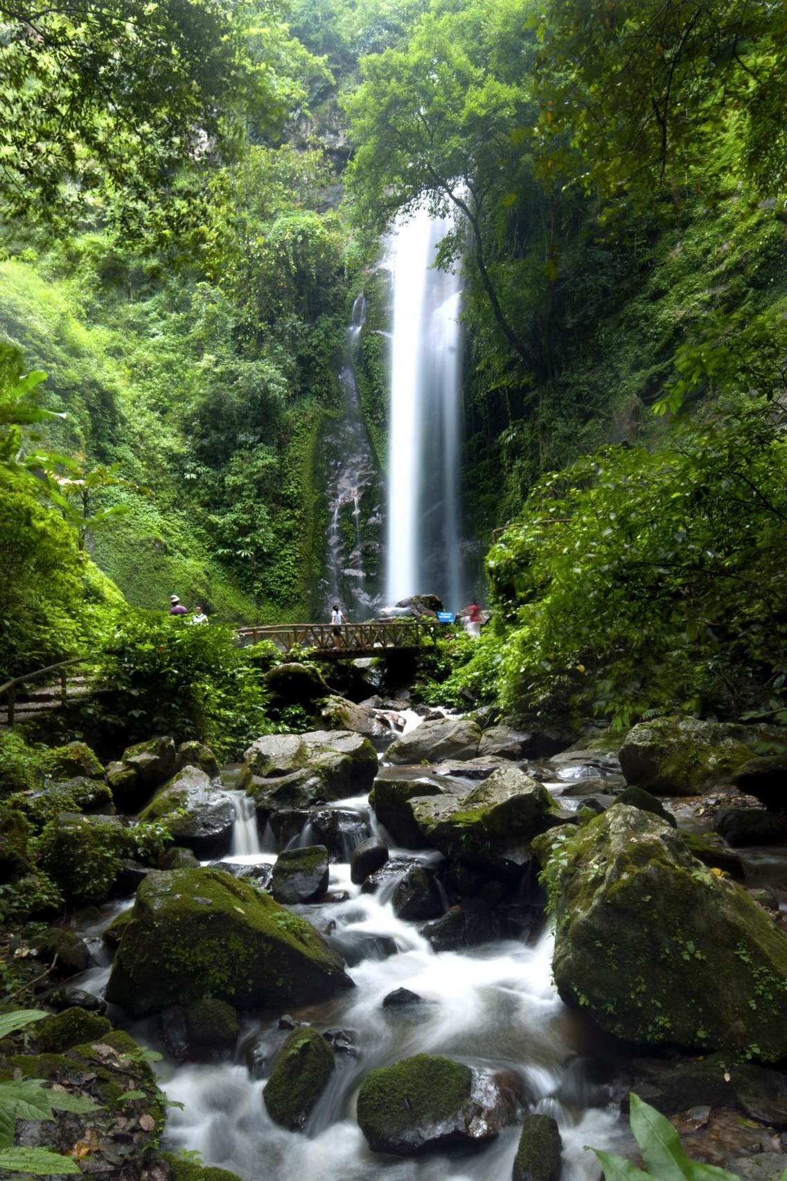 云南省瑞丽莫里景区