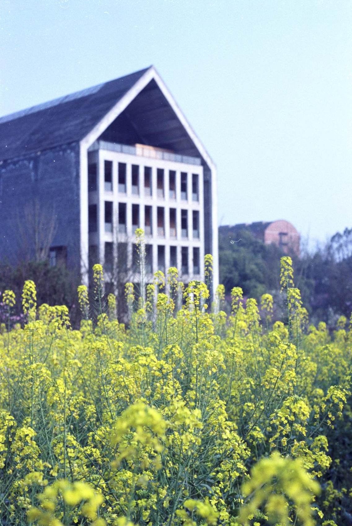 四川美術學院-春