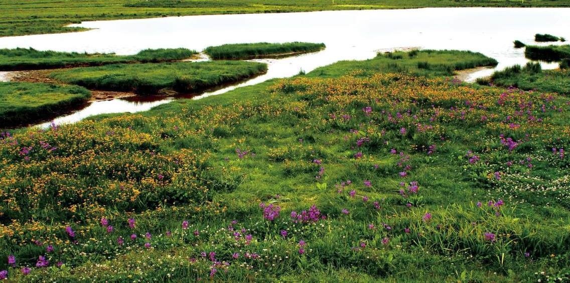 永善县茂林永安湿地