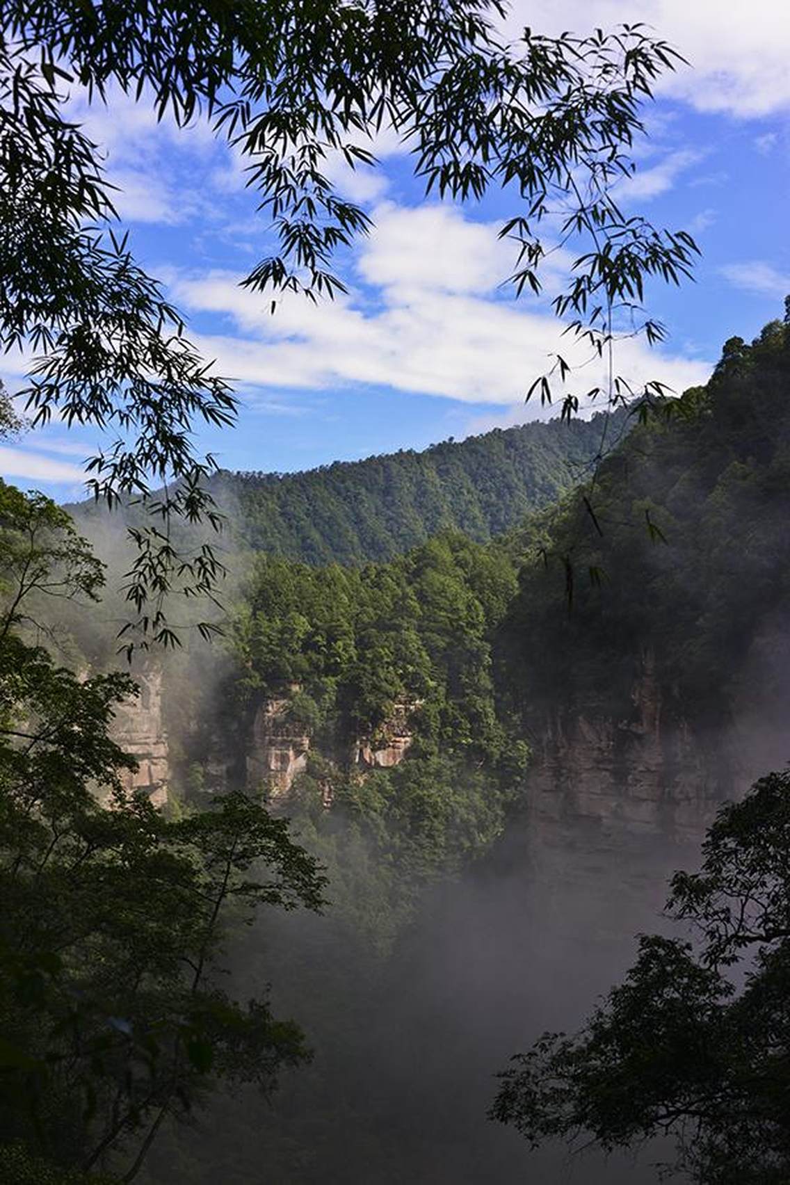 四面山景区位于重庆西南部，距离重庆主城区130公里，距江津城区90公里，属云贵高原大娄山北翼余脉，系地质学上的倒置山。四面山山势南高北低，最高峰蜈蚣岭海拔1709.4米，最低处海拔560米。占地300平方千米。属中亚热带季风湿润气候，年均气温13.7℃，降水量1522.3毫米，森林覆盖率达95.41%。景区内共有5大景区（水口寺景区、大窝铺景区、坪山景区均暂未开放），其中尤以脍炙人口的“爱情天梯”、158米高、48米宽的“华夏第一高瀑”望乡台瀑布、中国最大心形景观“天下第一心”和世界首列的“七彩瀑布”最为知名。