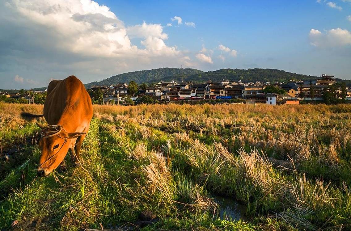 田园和顺