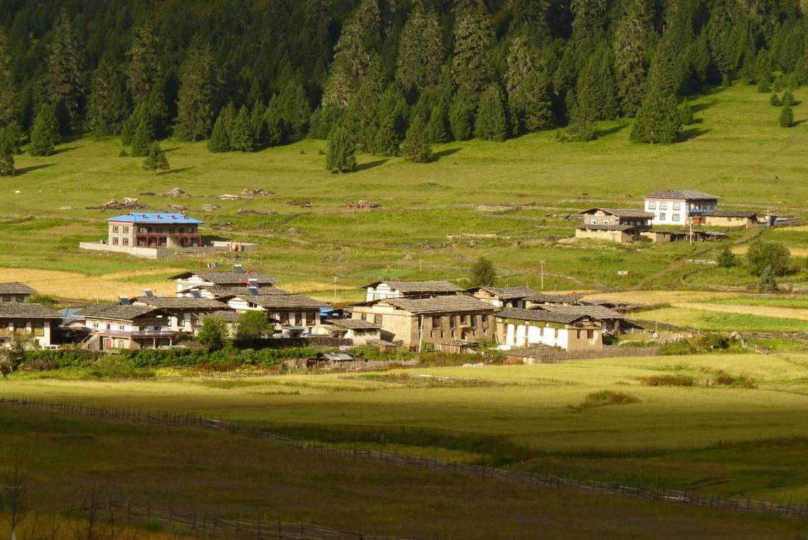 西藏林芝地区林芝县鲁朗镇扎西岗村