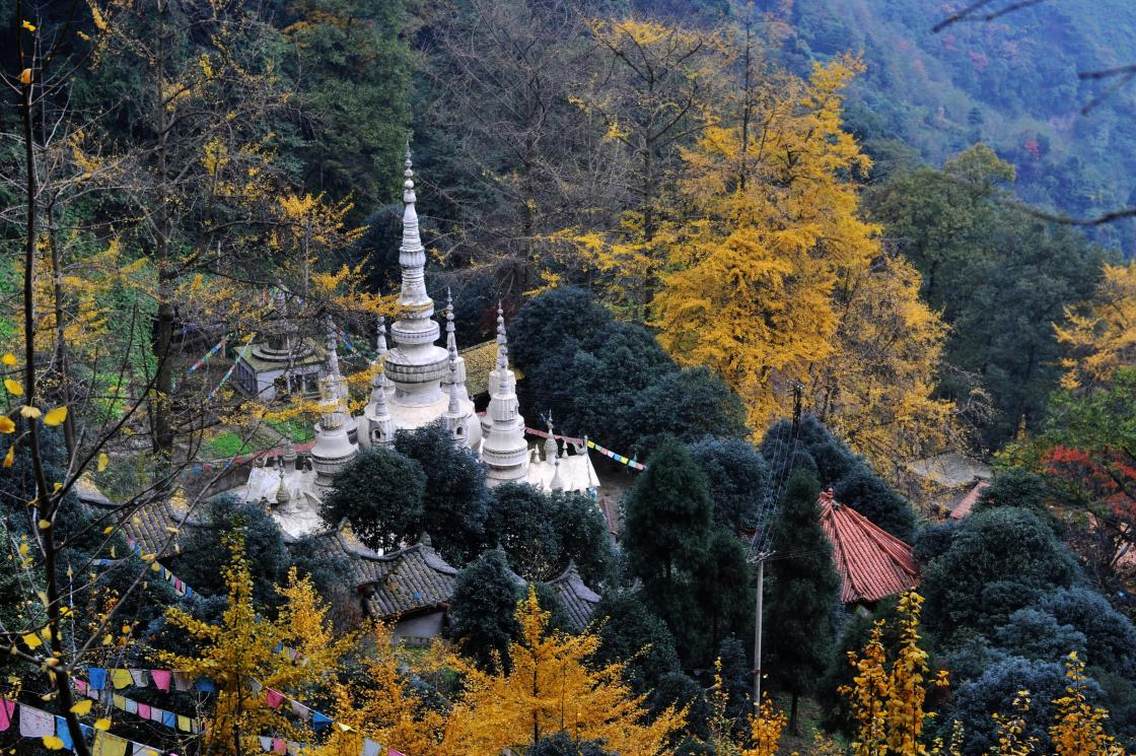 四川大邑白岩寺,离成都最近的藏式寺庙,每到秋季,漫寺银杏金黄一片