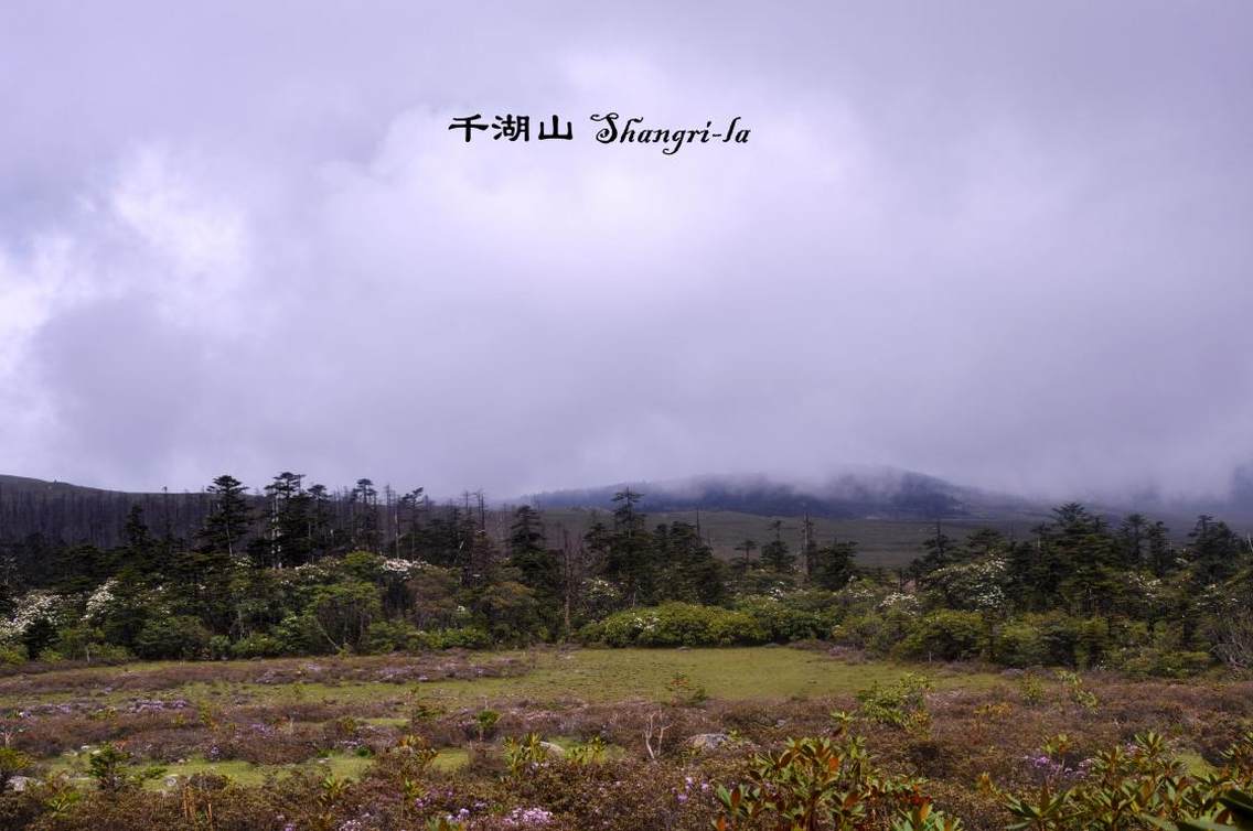 香格里拉千湖山