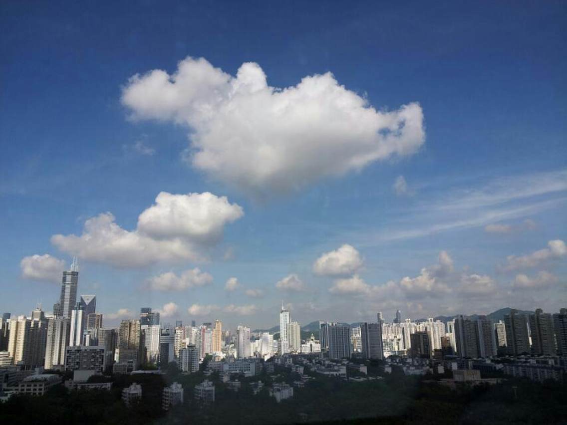 俯瞰深圳荔枝公园拍摄地点：深圳荔园大厦拍摄时间：早晨8：00