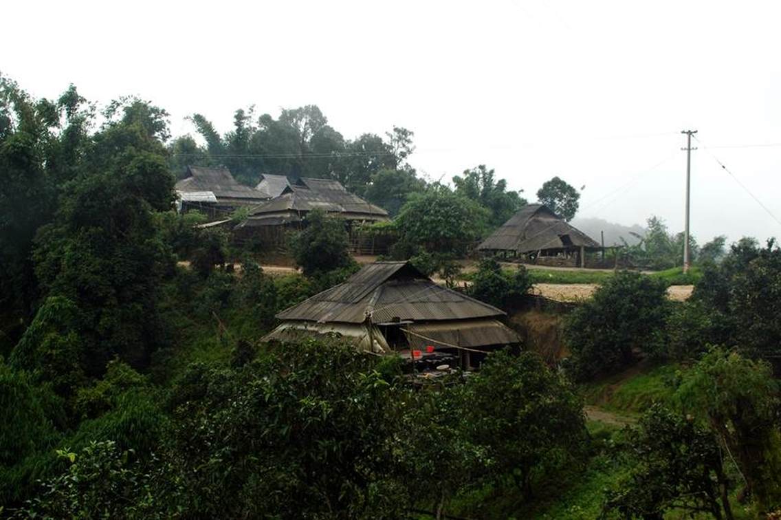 贺开古茶山拉祜文化旅游区位于西双版纳州勐海县勐混镇贺开村，西邻勐混曼蚌村委会、北接勐混坝子、南接老班章、东临格朗和乡，距勐海县城20公里，距景洪嘎洒机场约50公里，距昆曼大通道70公里左右，距湄公河国际航道50公里左右。贺开古茶山海拔1400—1750米之间，茶山区域植被较丰富，自然生态环境良好。古茶园集中连片，树龄达200—1400多年的栽培型古茶树有16200多亩，数量达200多万株，是目前世界上已发现的连片面积最大、密度最高、保护得最好的古茶园，形成一幅“万亩古茶园、千年古茶树、百岁采茶人”的美丽画卷。