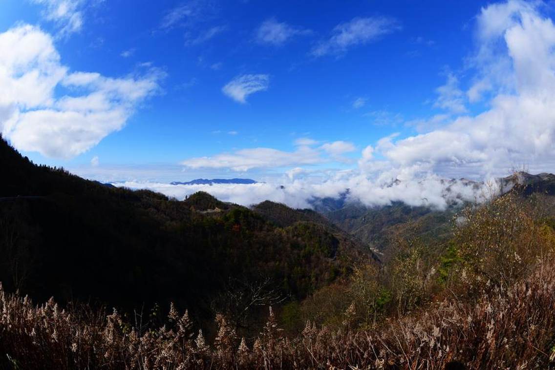 黄安晨曦